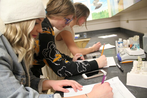 Advanced Placement students take part in a science lab at Bev Facey Community High.